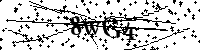 Пожалуйста, введите буквы и числа ниже