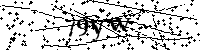 Пожалуйста, введите буквы и числа ниже