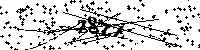 Пожалуйста, введите буквы и числа ниже