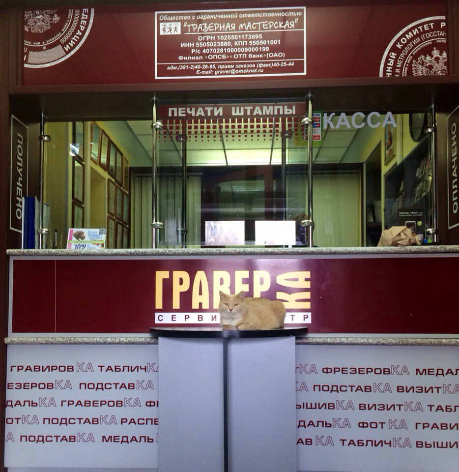 Всех с первым днем весны! УРА!