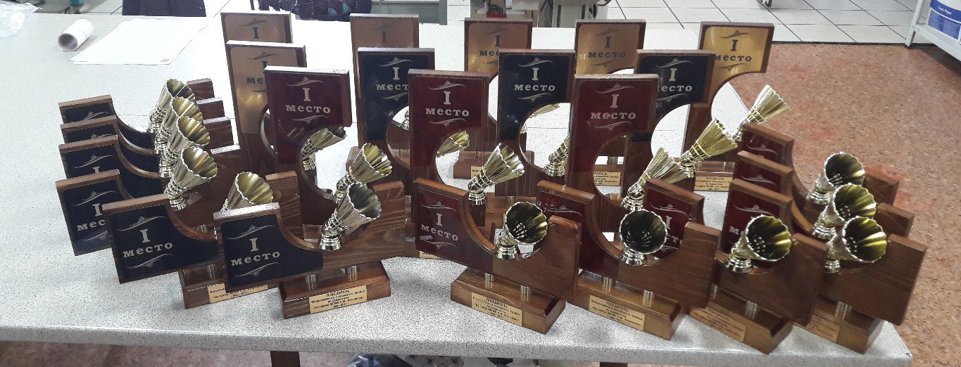 20 сентября 2017 год. Для турнира по бадминтону!