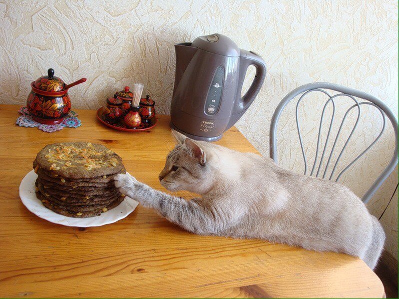 Масленица пришла!