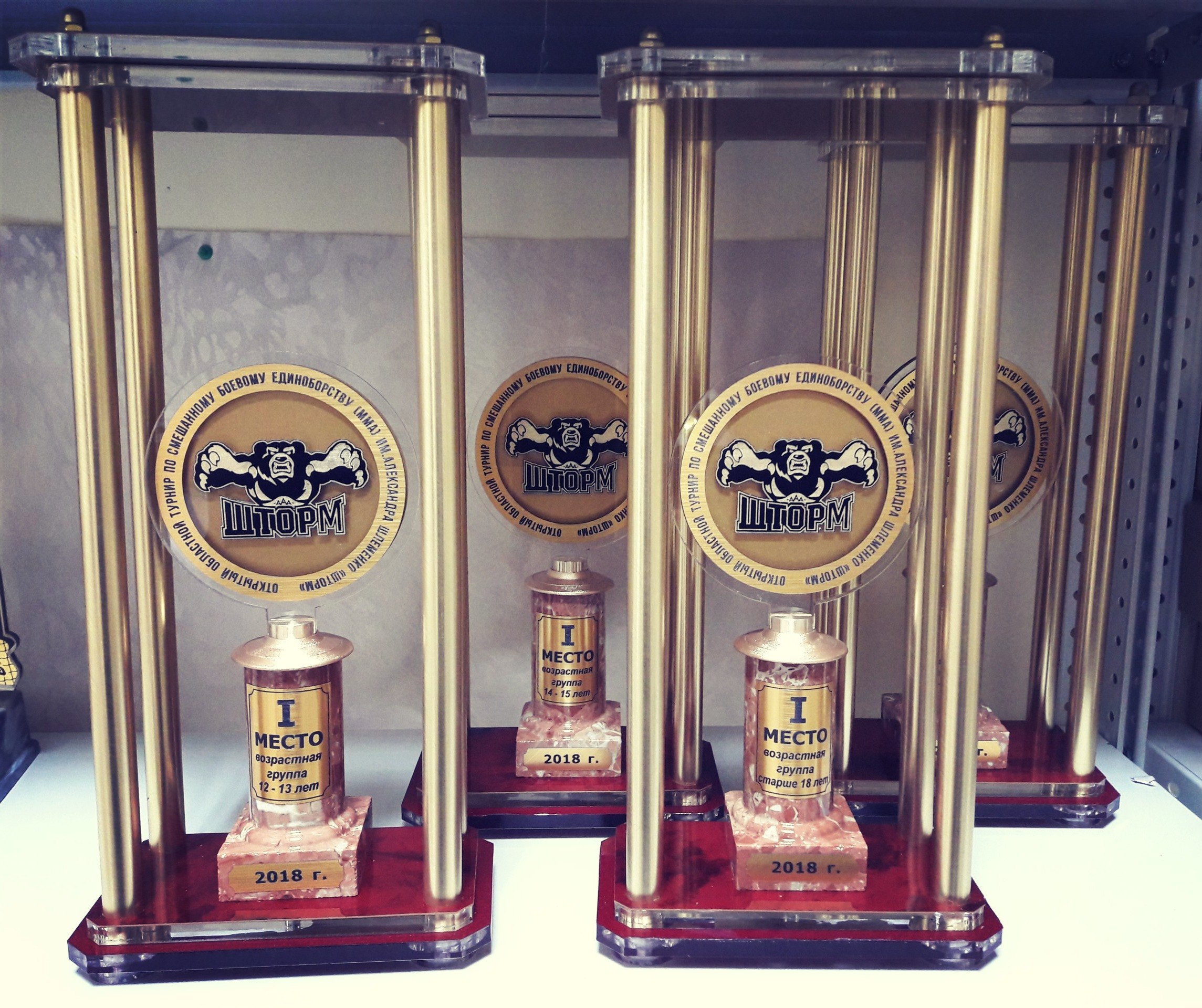 Награды для Омской Школы Единоборств "шторм"!