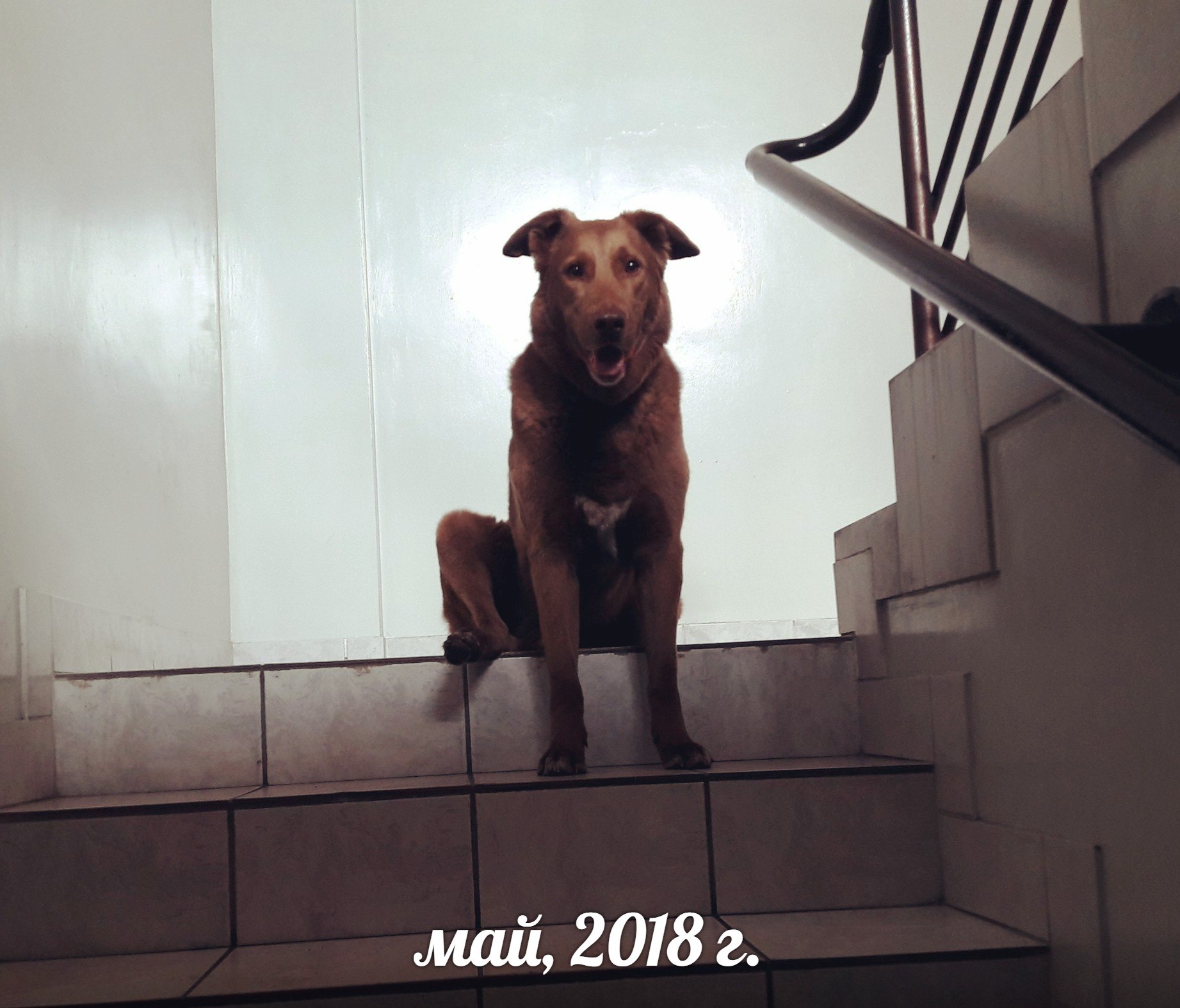 понедельник - день тяжелый!