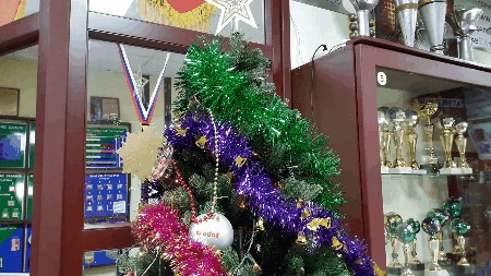 новый год к нам мчится, скоро всё случится...!