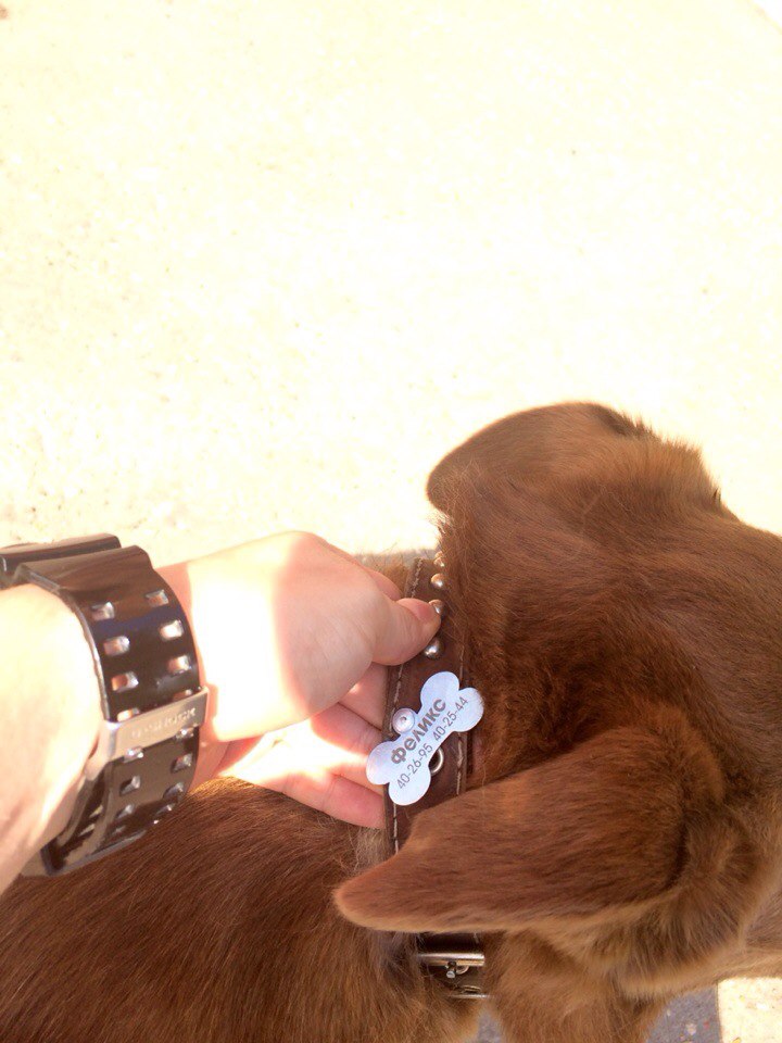 брелоки для животных!