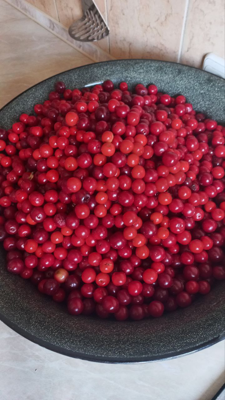 Латунные (алые) паруса